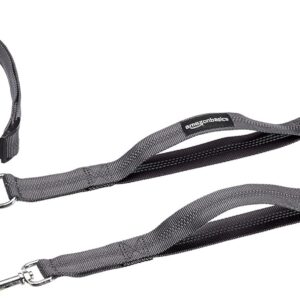 Run Belt+Bungee Leash,Black,36"